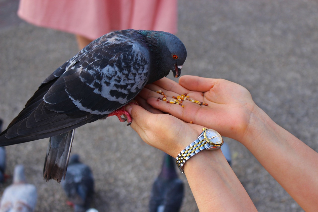Charitable Acts - Altruistic or Self-serving?